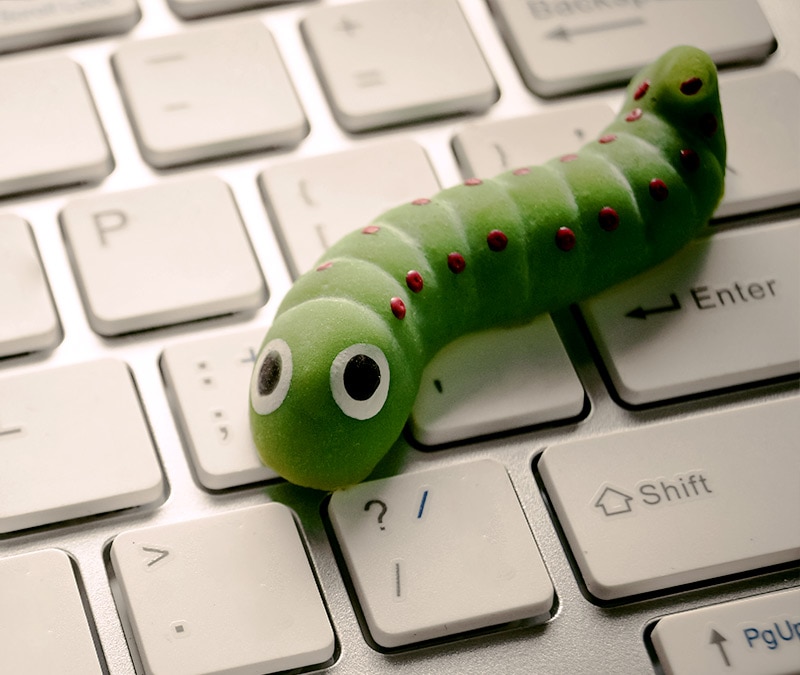 Image d'un ver informatique rampant sur le clavier.